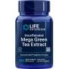 Life Extension - Mega Grøn Te Ekstrakt - 100 kapsler