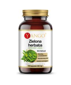 YANGO Green tea - 95% polyphenols - Catechin + EGCG (90 caps)