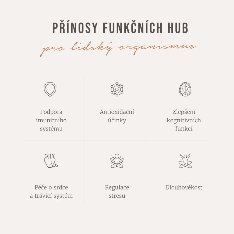 Four Sigmatic – Ashwagandha & Chaga adaptogeen öko kohvisegu, pulber - Image 3