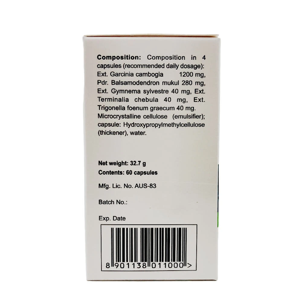 AyurSlim – 60 kapslit - Image 3