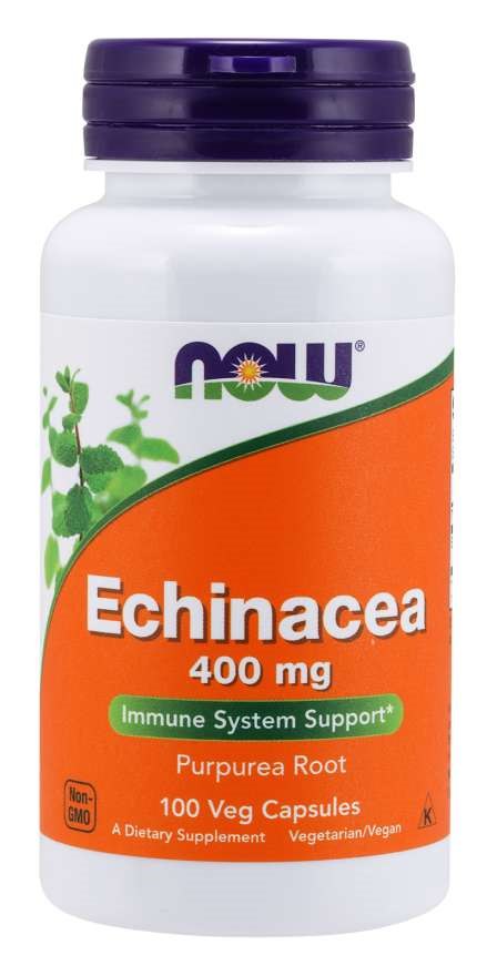 Echinacea