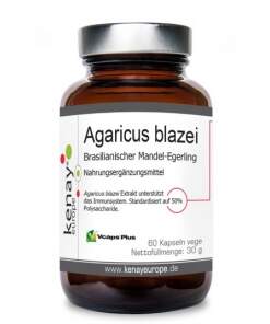 KENAY Agaricus blazei mushroom (60 caps)