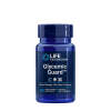 Life Extension - Glycemic Guard™ (30 Veg Capsules)