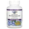 Natural Factors Super Strength Blueberry Concentrate 500mg 90 softgels