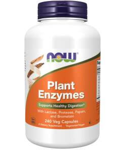 Plant Enzymes - 240 vcaps