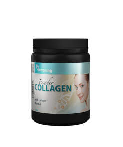 Vitaking Collagen Powder (330 g